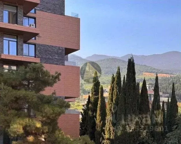 Студия Крым, Ялта муниципальный округ, Гурзуф пгт ул. Геологов, 7к3 ... - Фото 1