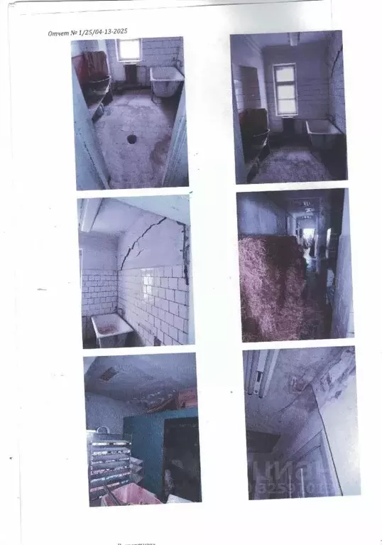 Помещение свободного назначения в Крым, Феодосия муниципальный округ, ... - Фото 2