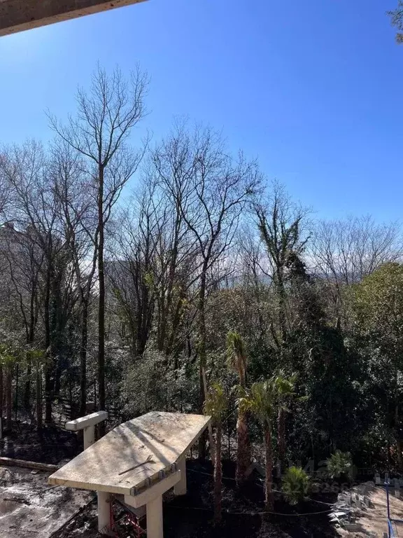 4-к кв. Краснодарский край, Сочи Адлер жилрайон, Курортный Городок ... - Фото 1