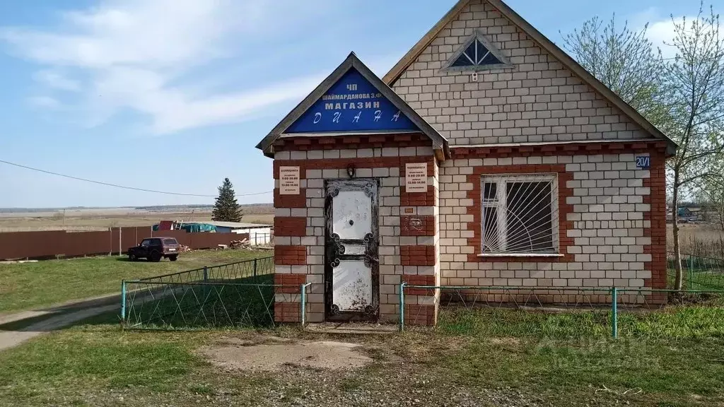 Дом в Башкортостан, Чишминский район, Алкинский сельсовет, с. Салихово ... - Фото 1