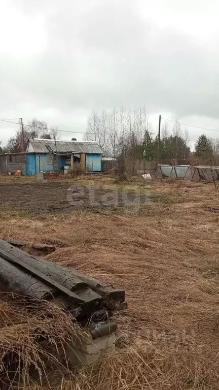 Участок в Вологодская область, Дубрава садоводческое товарищество  ... - Фото 1