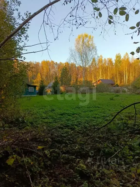 Участок в Костромская область, Нерехта ул. Егорьевская (9.3 сот.) - Фото 2