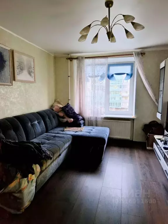 2-к кв. Санкт-Петербург просп. Кима, 4Б (49.0 м) - Фото 1