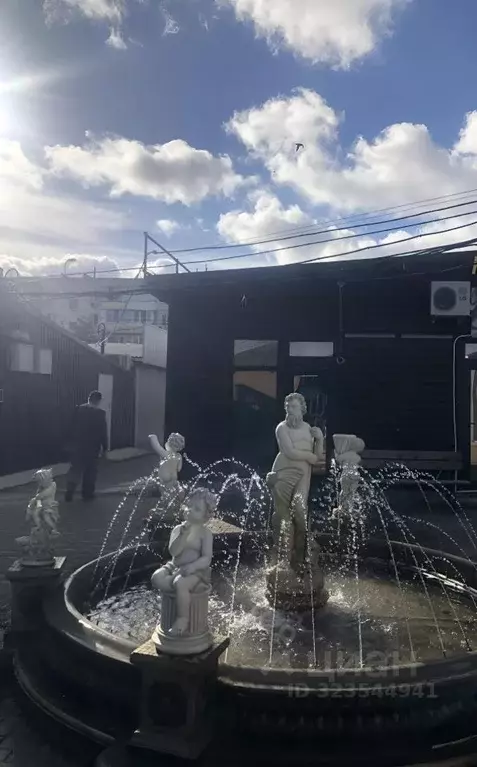 Помещение свободного назначения в Крым, Керчь ул. Ворошилова, 4 (19 м) - Фото 2