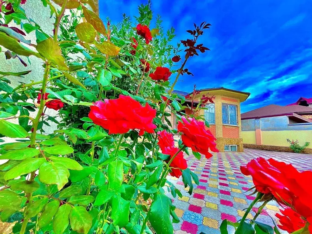 Коттедж в Ставропольский край, Кисловодск Замковая ул., 26А (150 м) - Фото 1