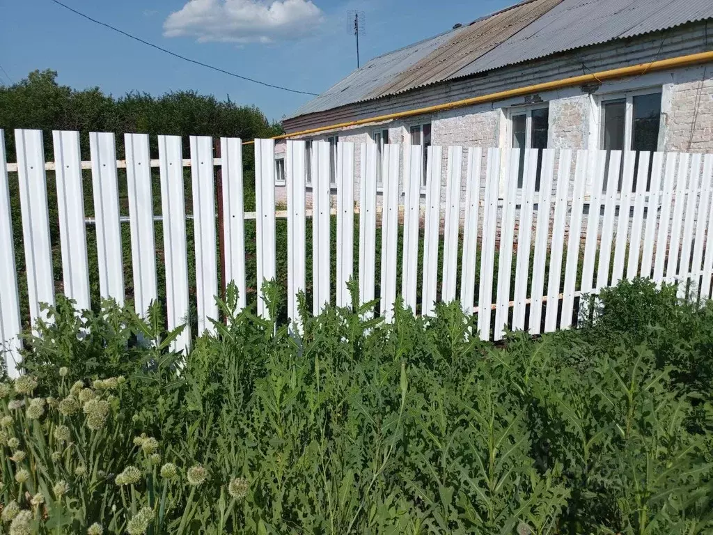 2-к кв. Самарская область, Кинель-Черкасский район, Садгород с/пос, ... - Фото 0