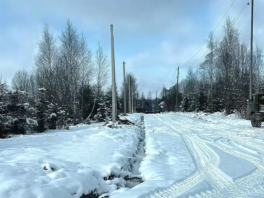 Участок в Московская область, Пушкинский городской округ, с. Ельдигино ... - Фото 1