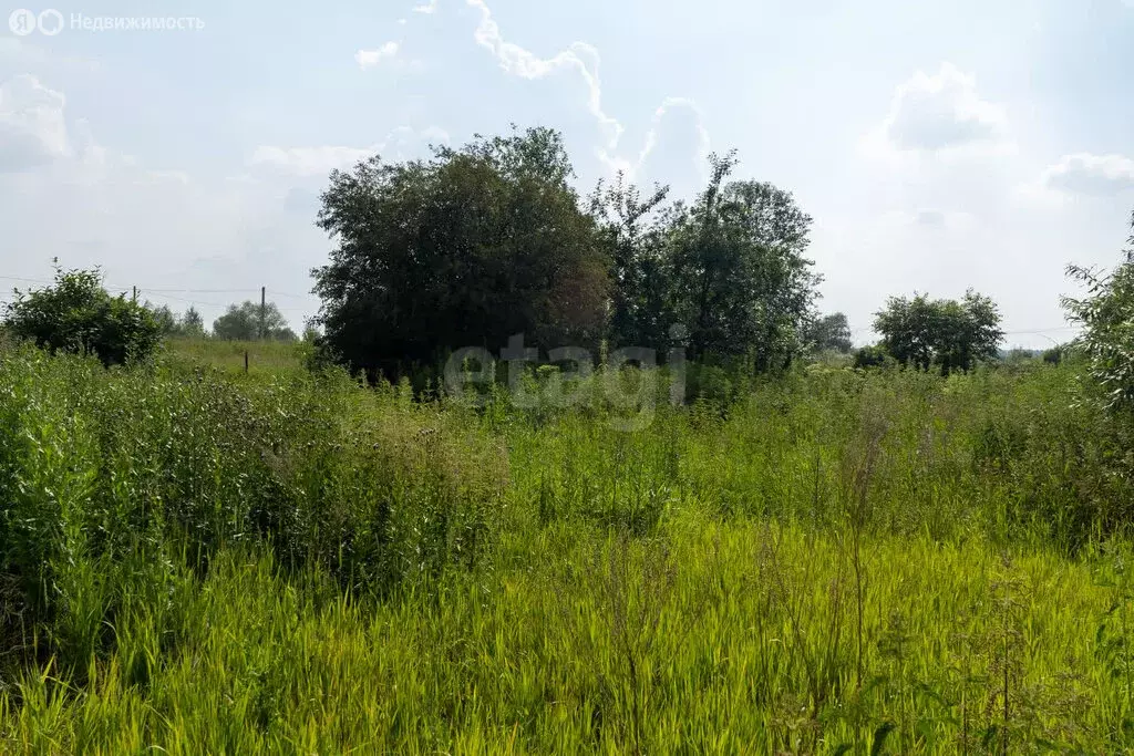 Участок в Новосибирский район, село Криводановка (7.1 м) - Фото 0