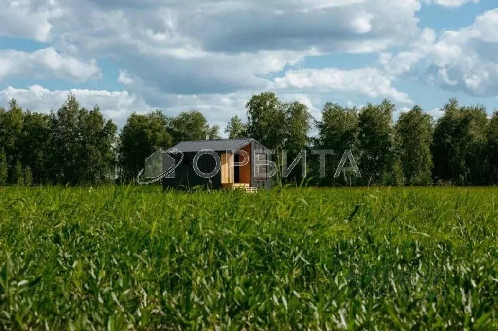 Участок в Тюменская область, Тюменский район, Дачи Хюгге ДНТ  (22.57 ... - Фото 2