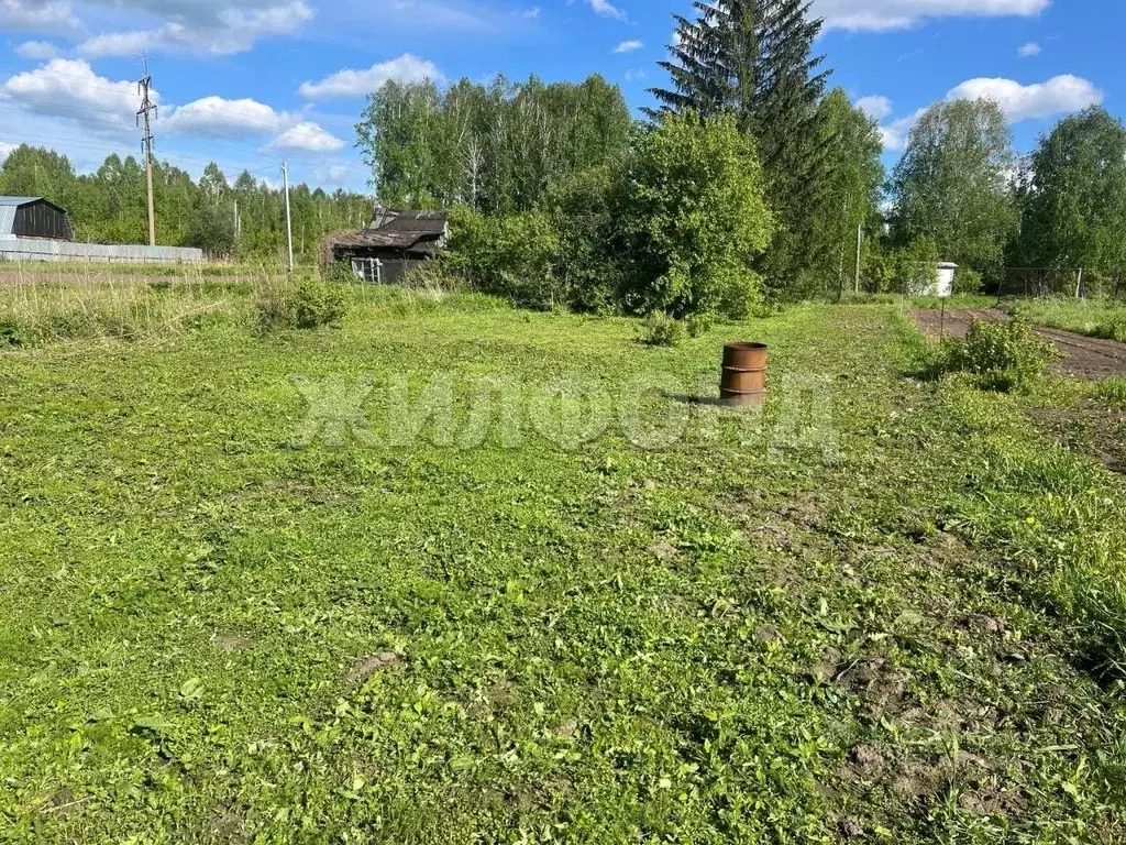 Участок в Новосибирская область, Новосибирский район, Березовский ... - Фото 1