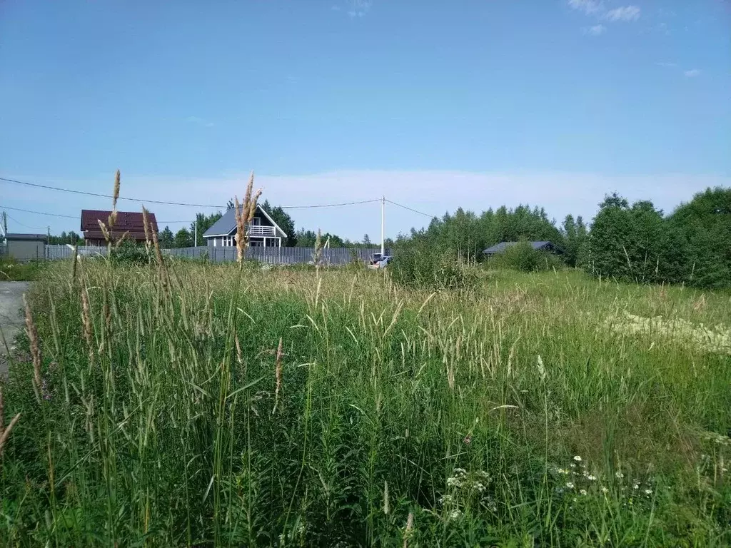 Участок в Ленинградская область, Всеволожский район, Лесколовское ... - Фото 2