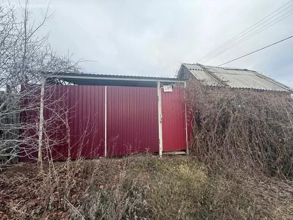 Участок в Оренбургский район, Степановский сельсовет, СНТ Прожектор, ... - Фото 2