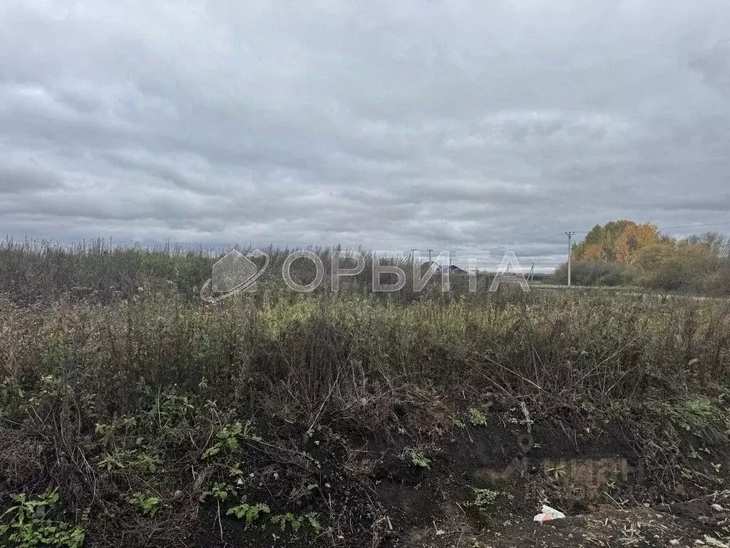 Участок в Тюменская область, Тюменский муниципальный округ, с. Успенка ... - Фото 2