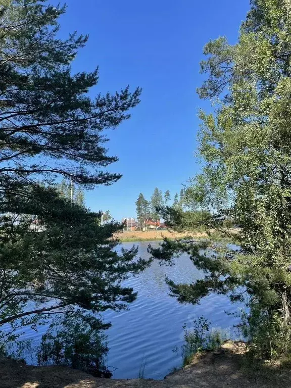 Дом в Ленинградская область, Сосновый Бор Эхо-2 кп, 15 (30 м) - Фото 0