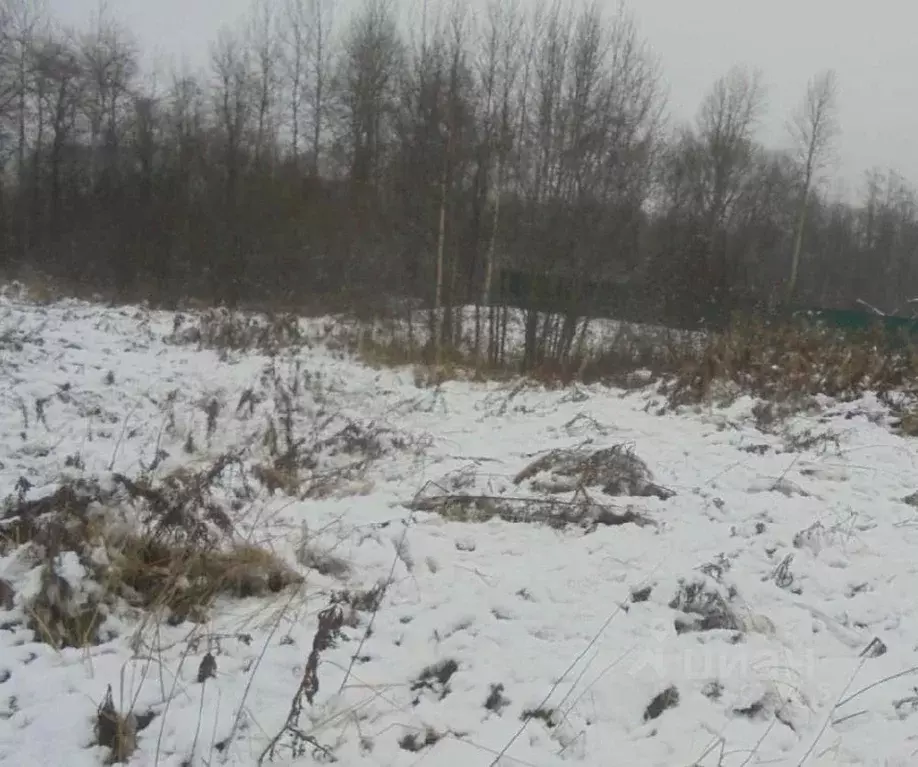 Участок в Московская область, Дмитровский муниципальный округ, с. ... - Фото 1