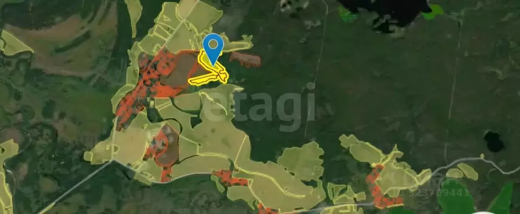 Участок в Нижегородская область, Навашинский муниципальный округ, с. ... - Фото 1