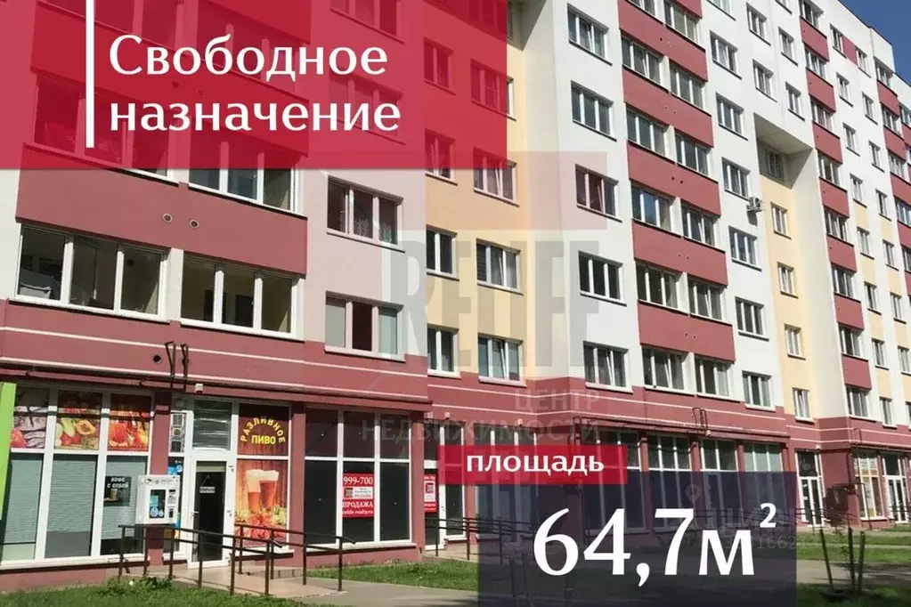 Помещение свободного назначения в Калининградская область, Калининград ... - Фото 1