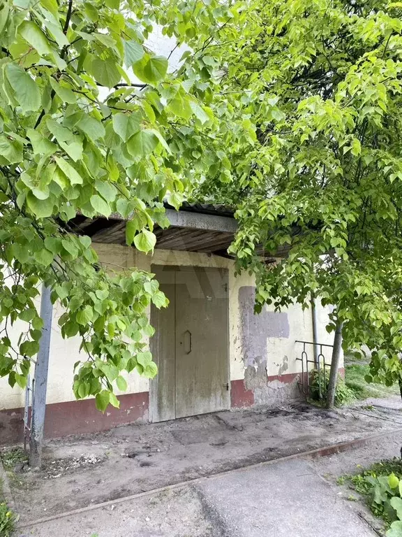 Комната 13 м в 6-к., 2/3 эт. - Фото 1