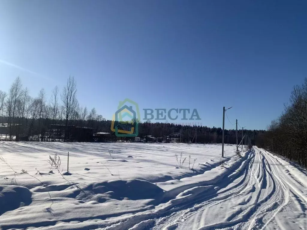 Участок в Ленинградская область, Выборгский район, Рощинское городское ... - Фото 1