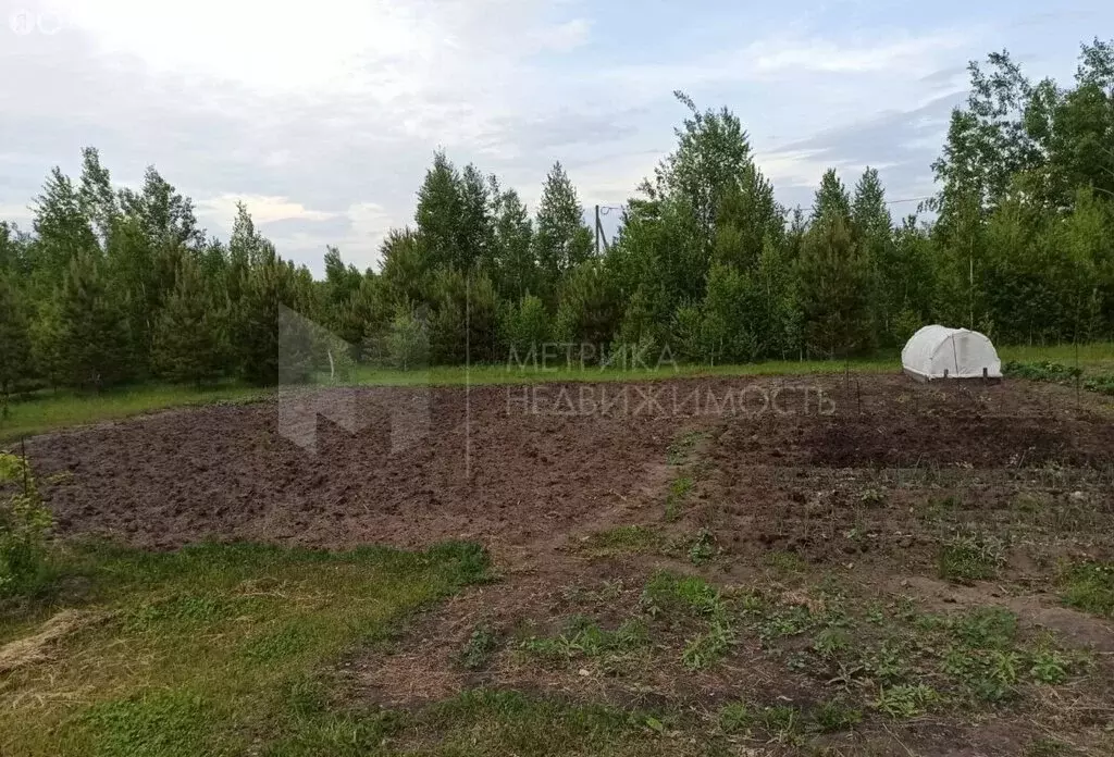 Участок в Тюменский район, садоводческое общество Архип (10.7 м) - Фото 1