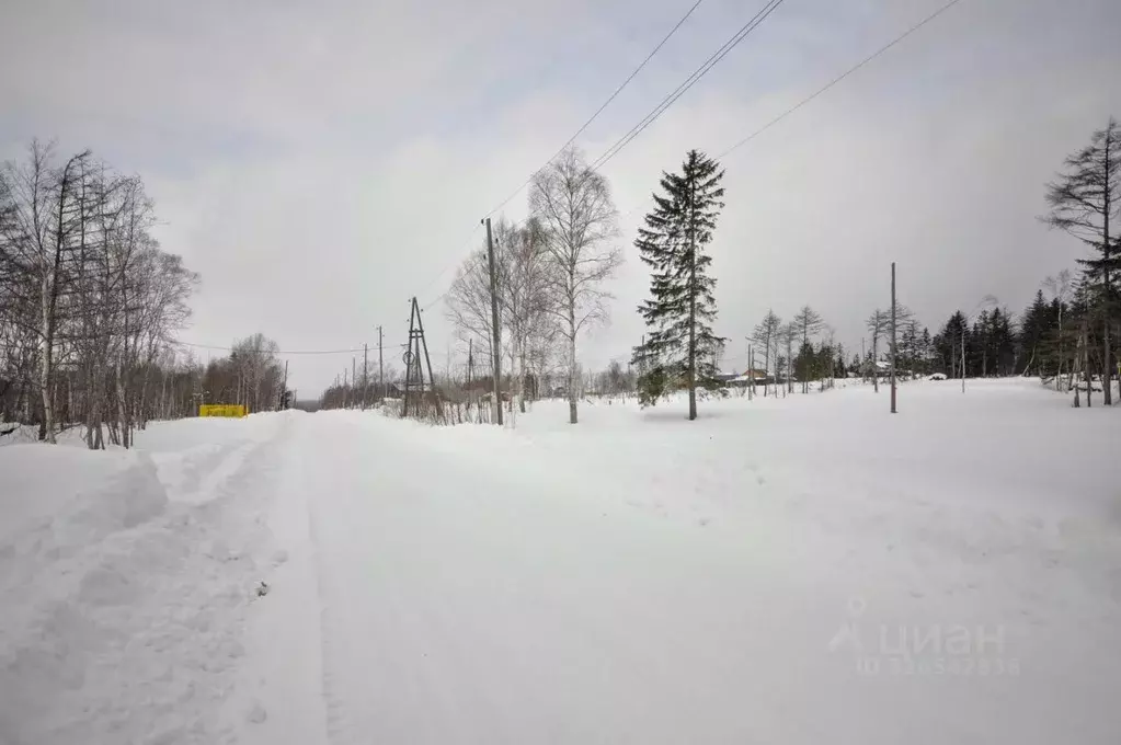 Участок в Сахалинская область, Долинск Комсомольская ул. (9.7 сот.) - Фото 2