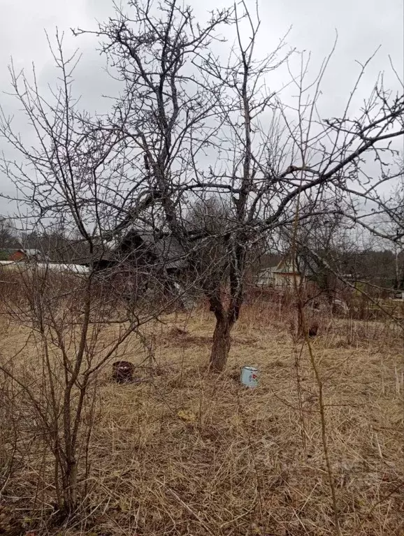 Участок в Московская область, Сергиево-Посадский городской округ, ... - Фото 2