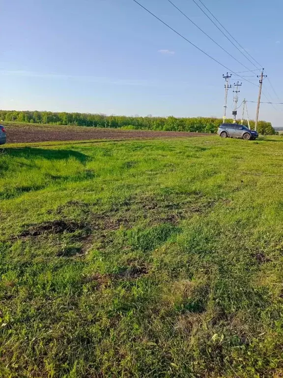 Купить Участок В Воронеже Рамонский Район