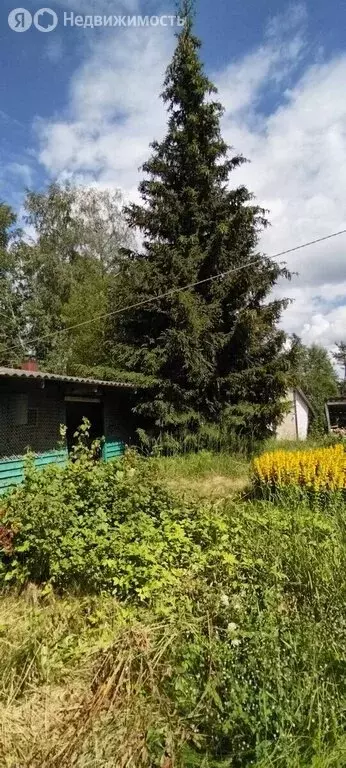 Дом в Путиловское сельское поселение, садоводческий массив Назия, ... - Фото 1