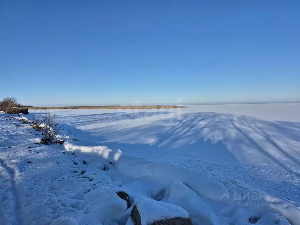 Участок в Псковская область, Печорский муниципальный округ, д. Лисье  ... - Фото 1