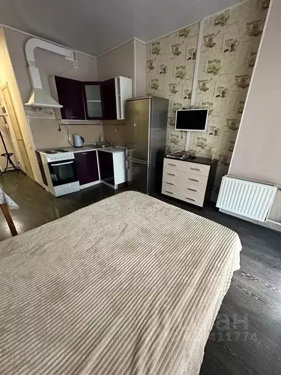 Студия Карелия, Петрозаводск ул. Чапаева, 40А (25.0 м) - Фото 1