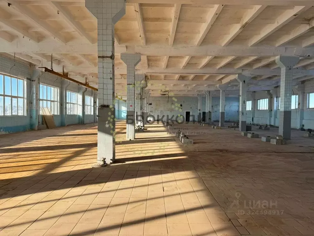 Склад в Волгоградская область, Волгоград ул. Пржевальского, 20 (3281 ... - Фото 2