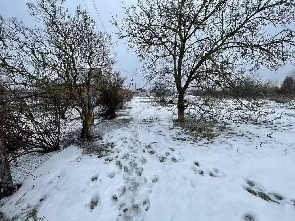 Участок в Ростовская область, Азовский район, с. Кулешовка ул. ... - Фото 2