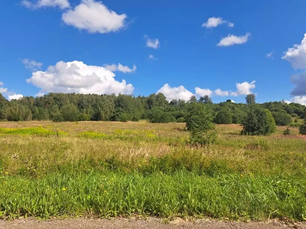 Участок в Московская область, Солнечногорск городской округ, ... - Фото 0