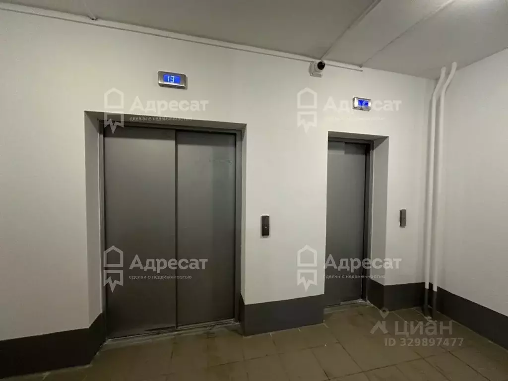 Студия Волгоградская область, Волгоград ул. Маршала Воронова, 24 (32.3 ... - Фото 2