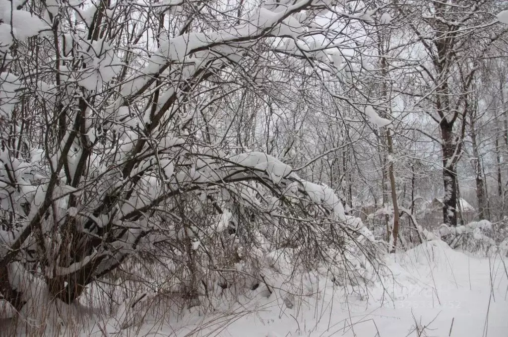 Участок в Московская область, Шаховская муниципальный округ, Шаховская ... - Фото 2