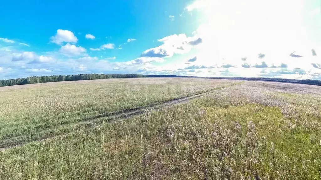 Участок в Тюменская область, Тюменский район, с. Кулига  (5.89 сот.) - Фото 0