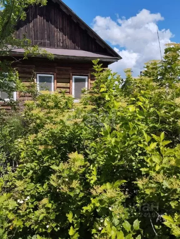 Участок в Амурская область, Благовещенский район, с. Игнатьево ... - Фото 1