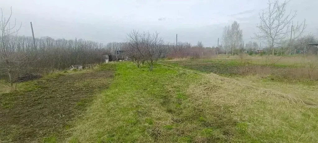 Участок в Тамбовская область, Тамбовский муниципальный округ, ... - Фото 1
