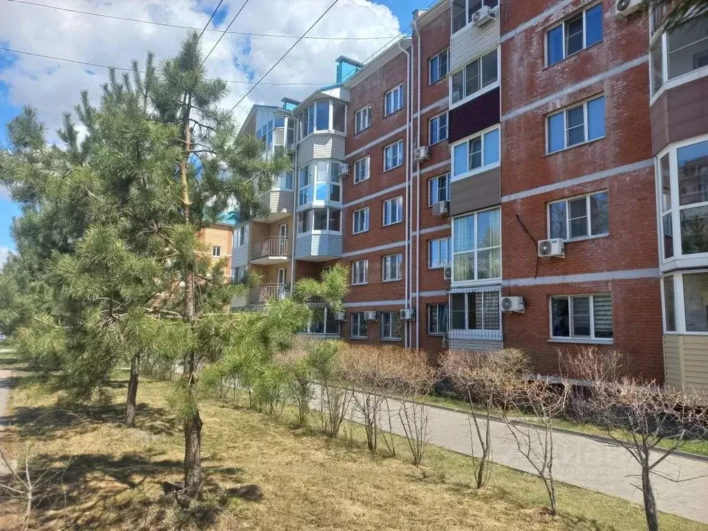 Студия Хабаровский край, Хабаровск ул. Фурманова, 6 (24.7 м) - Фото 1