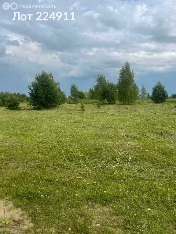 Участок в деревня Тарасово (91 м) - Фото 2