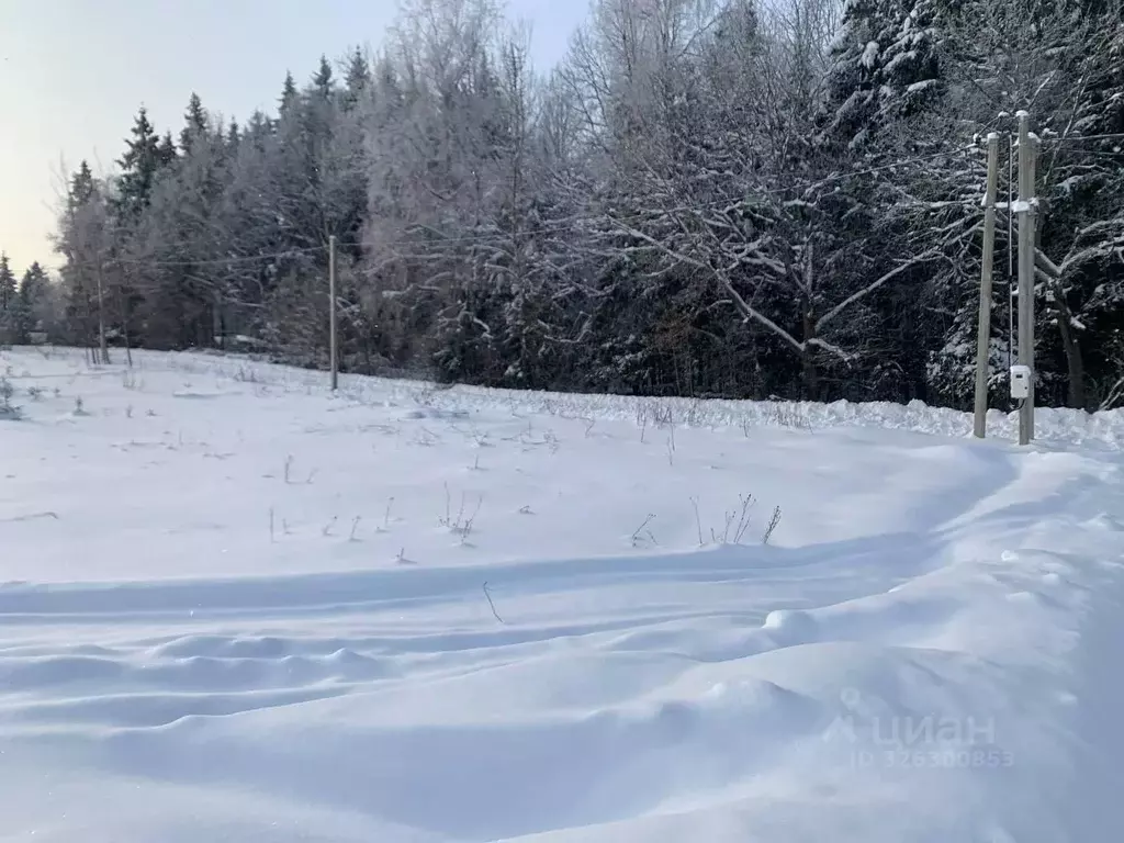 Участок в Московская область, Истра муниципальный округ, д. ... - Фото 2