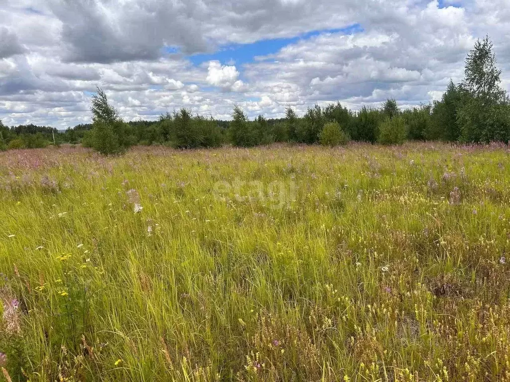 Дом в Ульяновская область, Ульяновский район, Ишеевка рп ул. ... - Фото 1