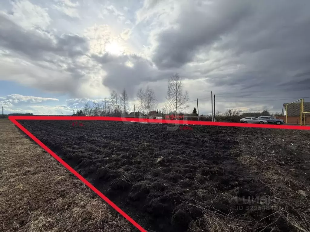 Участок в Мордовия, Саранск городской округ, д. Ивановка ул. ... - Фото 1