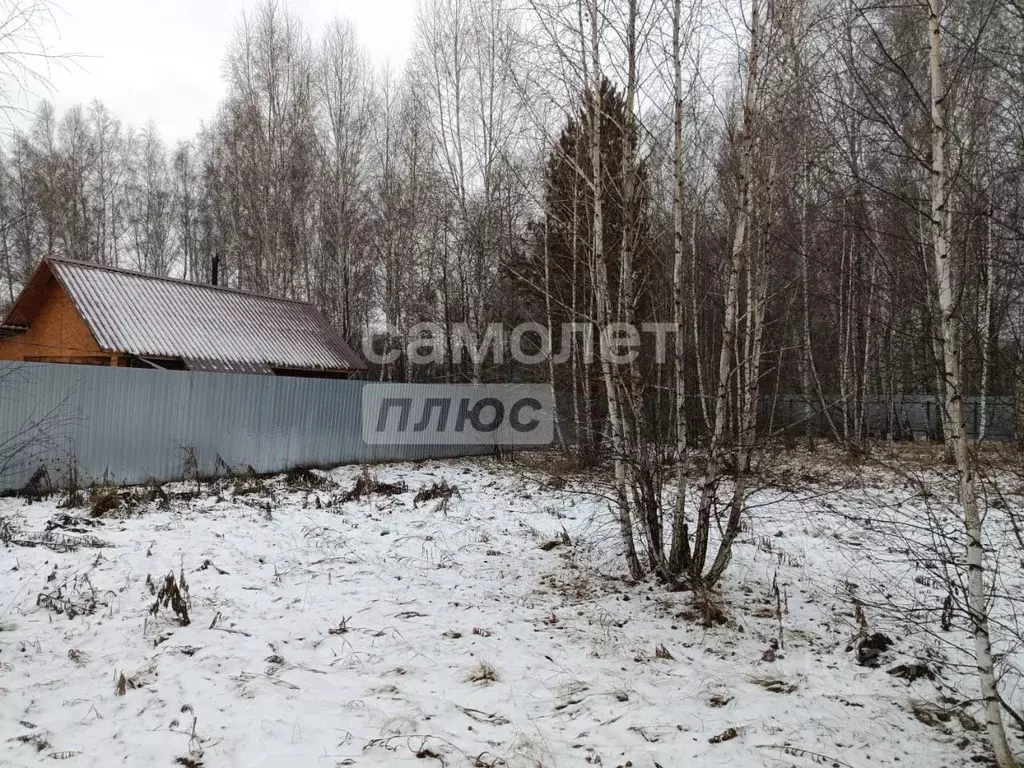 Участок в Курганская область, Кетовский муниципальный округ, КП Лесная ... - Фото 1