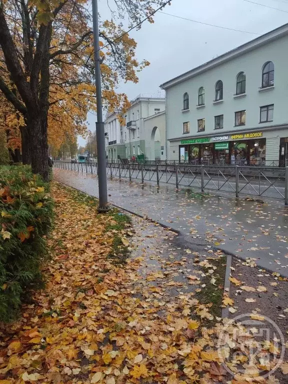 2-к кв. Санкт-Петербург, Санкт-Петербург, Зеленогорск просп. Ленина, ... - Фото 0