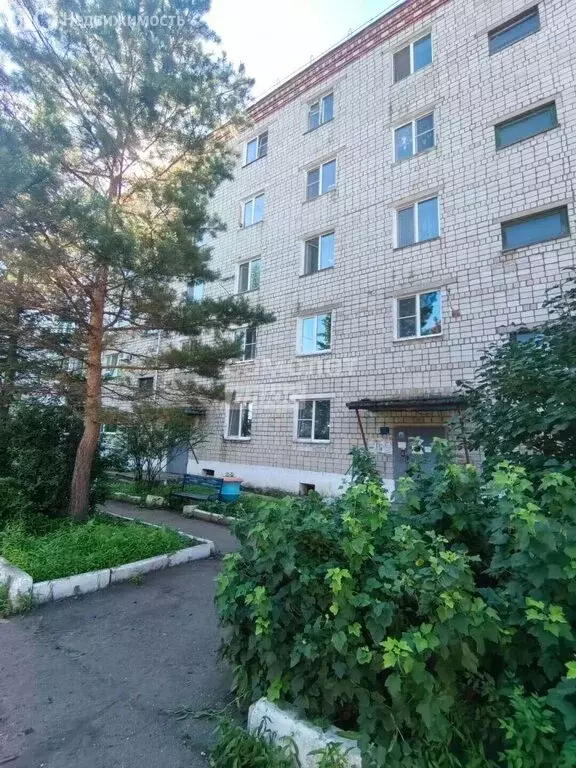 1-комнатная квартира: посёлок Смидович, улица Кирова, 5 (30.5 м) - Фото 2
