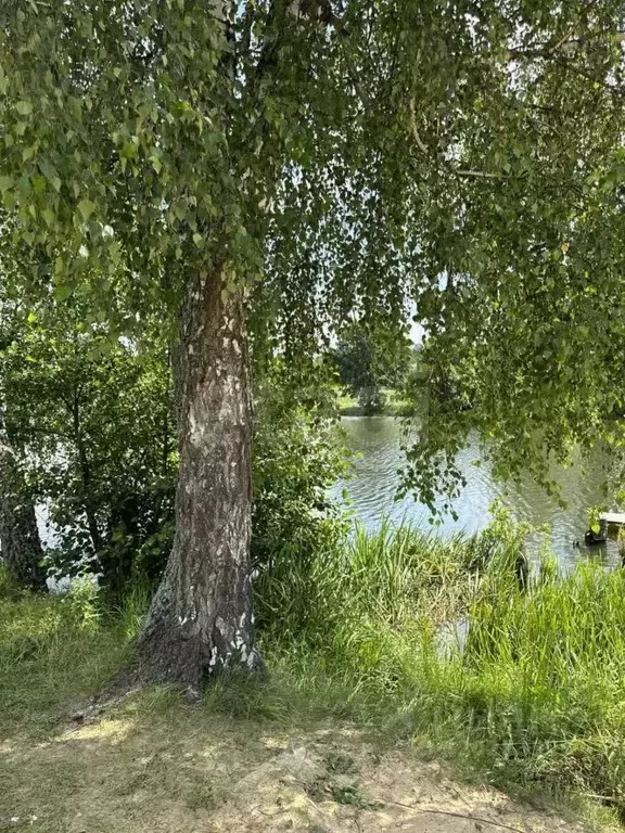 Участок в Калужская область, Жуковский муниципальный округ, Совхоз ... - Фото 2