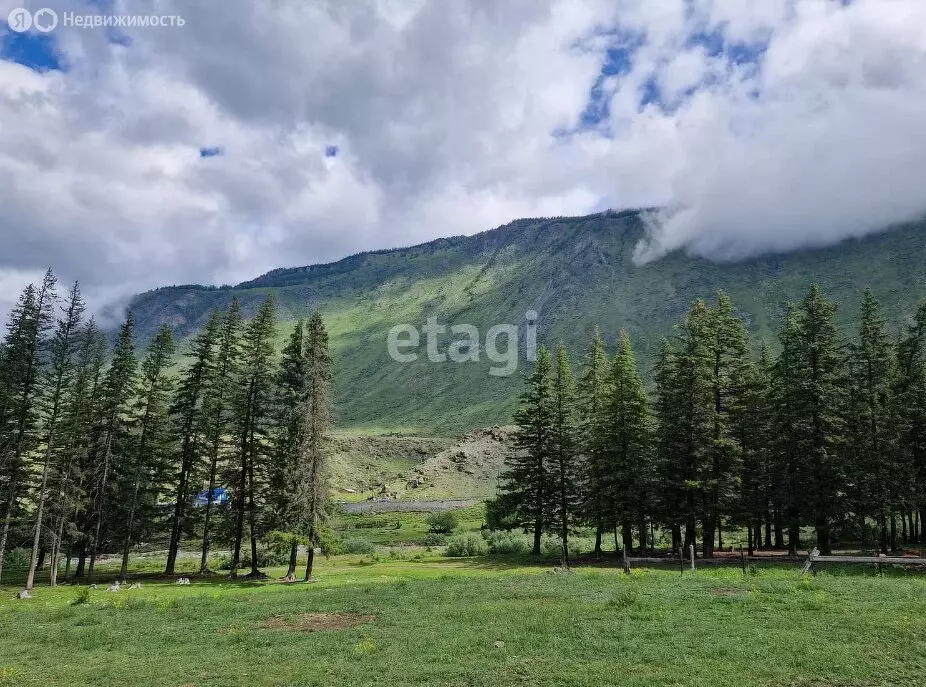 Участок в село Чибит, Садовая улица (26 м) - Фото 1