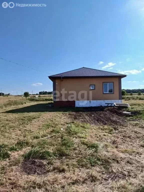Дом в Пензенская область, село Бессоновка (105 м) - Фото 1