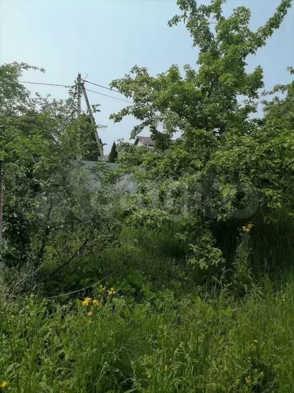 Участок 5,8 сот. (СНТ, ДНП) - Фото 0